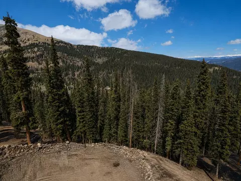 450 Quandary View Dr, Breckenridge, CO 80424
