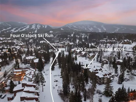 120 Sawmill Rd #205, Breckenridge, CO 80424