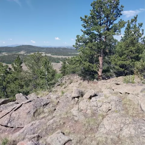 496 Houma Way, Como, CO 80456 photo 13