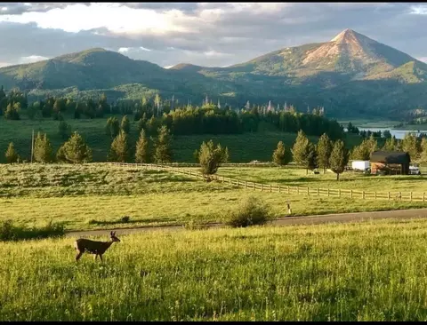 23463 Crows Nest Dr, Clark, CO 80428