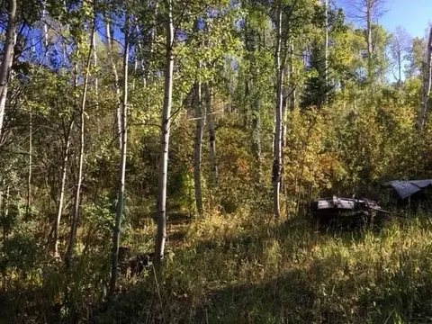 tbd Rcr 24 Rd, Steamboat Springs, CO 80487