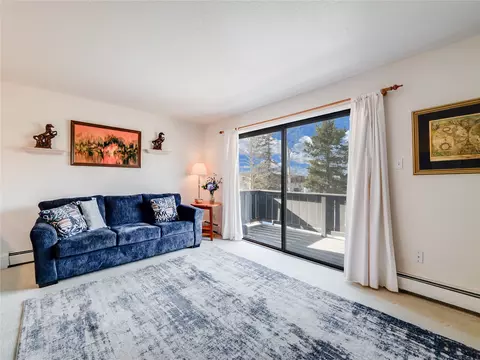 753 Straight Creek Dr #201, Dillon, CO 80435