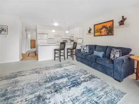 753 Straight Creek Dr #201, Dillon, CO 80435