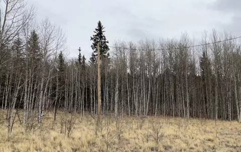 688 Ouray Trl, Como, CO 80432