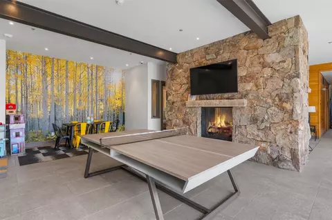 Other - 20 E Benjamin Pt, Silverthorne, CO 80498 photo 6 of 7