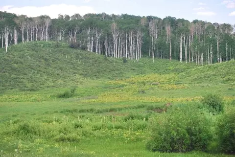 tbd County Road 11, Craig, CO 81625