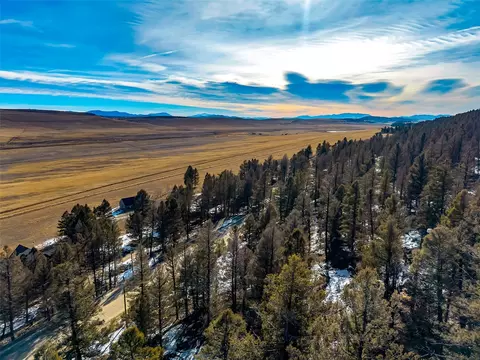 1423 Redhill Rd, Fairplay, CO 80440