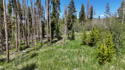 20905 Clydesdale Way, Oak Creek, CO 80467