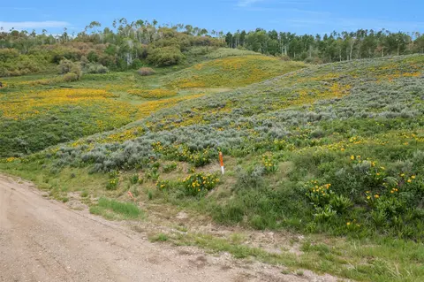 56250 Myrtle Ct, Clark, CO 80428 photo 10