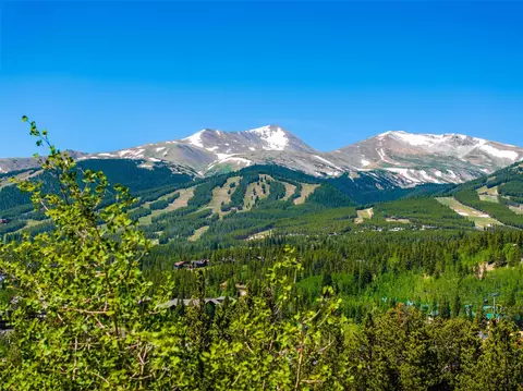 309 Royal Tiger Rd, Breckenridge, CO 80424