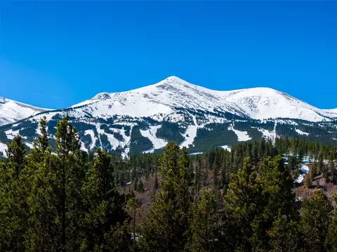 309 Royal Tiger Rd, Breckenridge, CO 80424