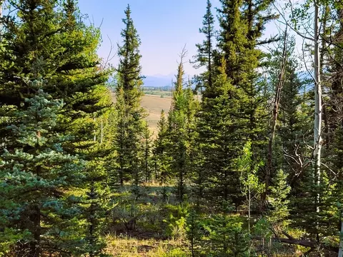 1148 Haida Rd, Como, CO 80456