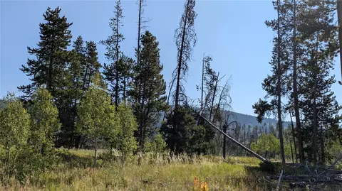 000 Halter Trl, Oak Creek, CO 80467
