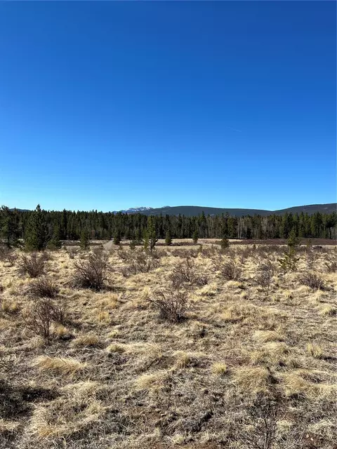 247 Thickspike Rd, Fairplay, CO 80440 photo 5