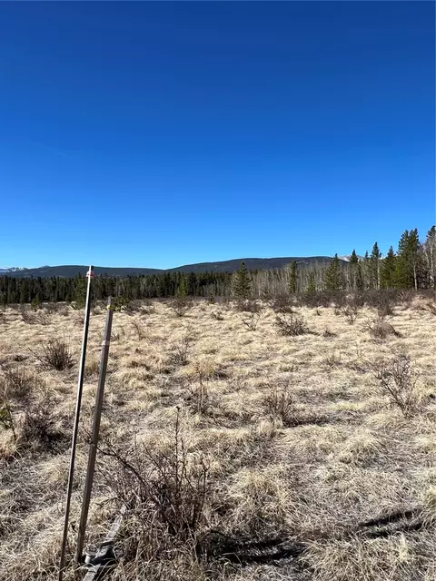 247 Thickspike Rd, Fairplay, CO 80440 photo 9