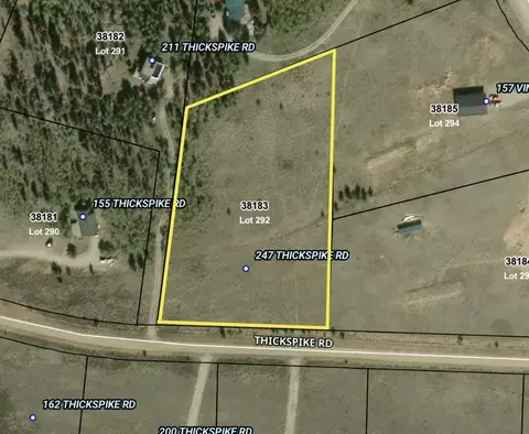 247 Thickspike Rd, Fairplay, CO 80440 photo 13