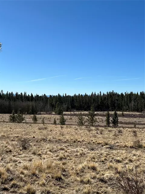 247 Thickspike Rd, Fairplay, CO 80440 photo 12
