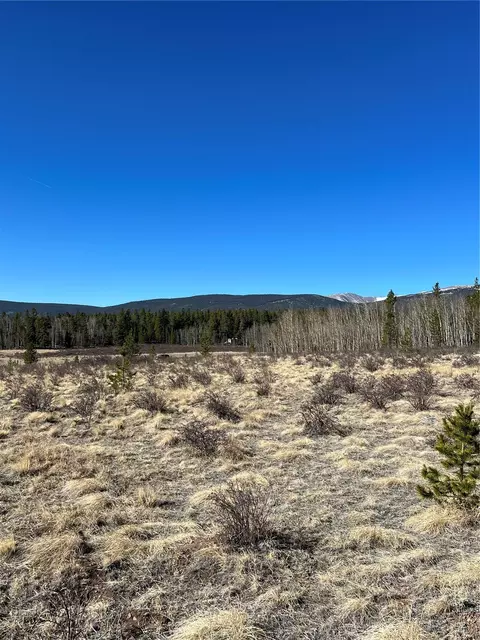 247 Thickspike Rd, Fairplay, CO 80440 photo 10
