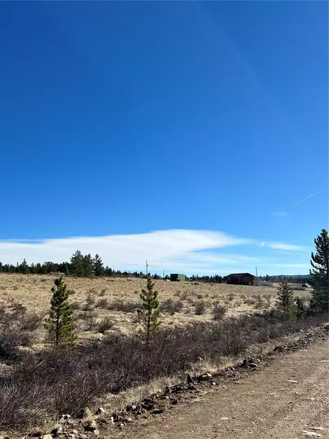 247 Thickspike Rd, Fairplay, CO 80440 photo 7