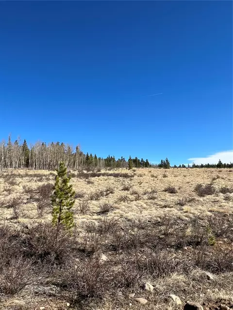 247 Thickspike Rd, Fairplay, CO 80440 photo 8