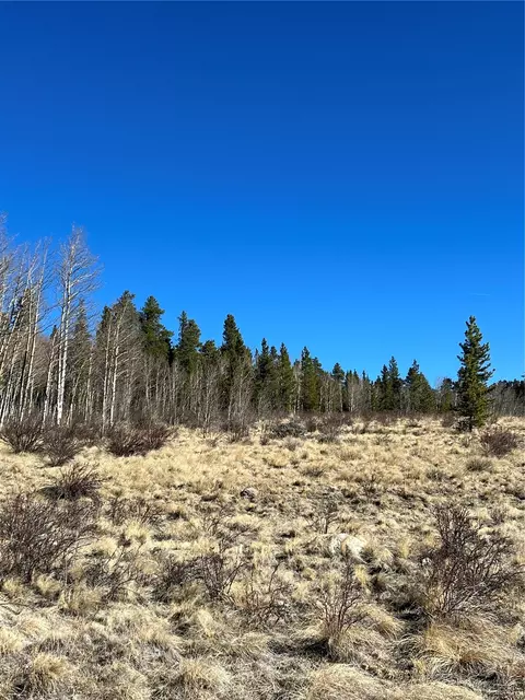 247 Thickspike Rd, Fairplay, CO 80440 photo 6