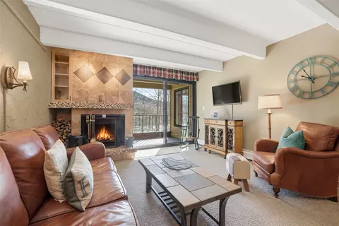 Living - 220 E La Bonte St #219, Dillon, CO 80435 photo 3 of 5