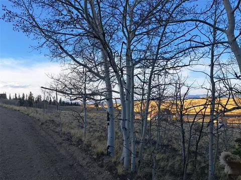 541 War Ln, Como, CO 80432 photo 9