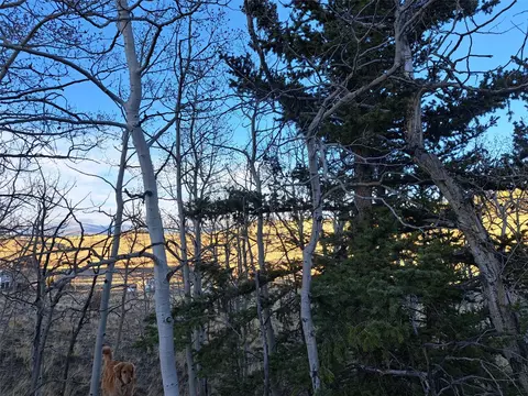 541 War Ln, Como, CO 80432 photo 8