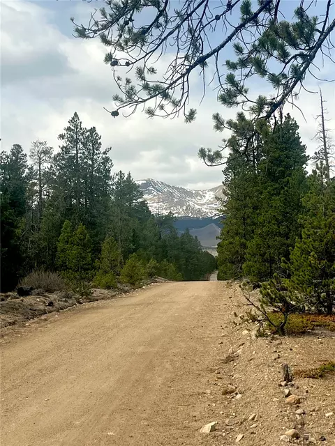 105 Fir Rd, Twin Lakes, CO 80461