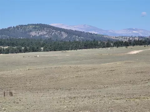 1071 Yellowstone Rd, Hartsel, CO 80449