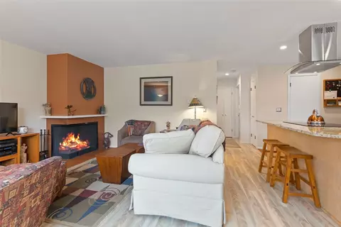 Living - 240 E La Bonte St #3, Dillon, CO 80435 photo 4 of 6
