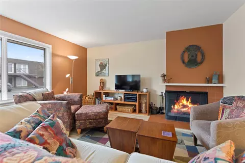 Living - 240 E La Bonte St #3, Dillon, CO 80435 photo 3 of 6