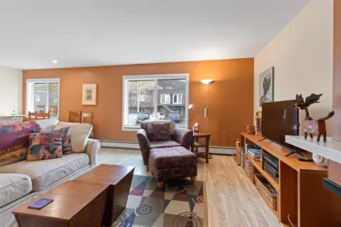 Living - 240 E La Bonte St #3, Dillon, CO 80435 photo 6 of 6