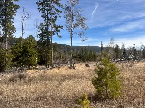 23910 Fargo Way, Oak Creek, CO 80467