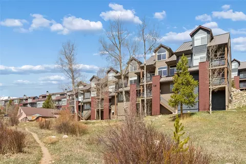 121 Cydney Ln, Silverthorne, CO 80498