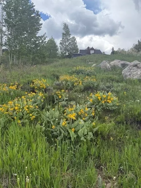 71 V Rd, Silverthorne, CO 80498 photo 21