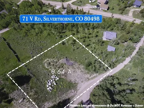 71 V Rd, Silverthorne, CO 80498 photo 27