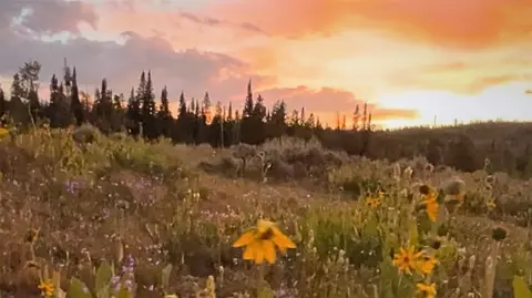 lot Ar Spring Creekranch Rd, Silverthorne, CO 80498