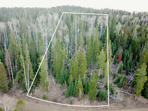 57050 Golden Tide Pl, Clark, CO 80428