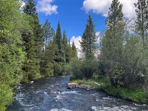 tbd Pcr-19, Alma, CO 80420