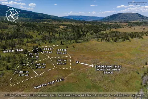 195 Halter Trl, Oak Creek, CO 80467