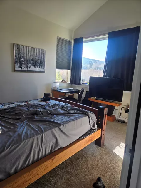 Bedroom - 331 Haymaker St, Silverthorne, CO 80498 photo 1 of 3