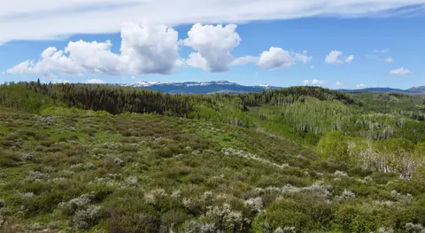 tbd Silverado Rd, Oak Creek, CO 80467