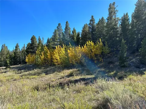 tbd W Second St, Alma, CO 80420