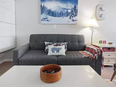 800 Copper Rd #309, Copper Mountain, CO 80443 photo 6