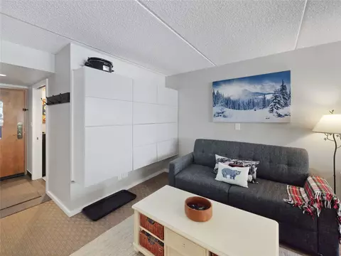 800 Copper Rd #309, Copper Mountain, CO 80443 photo 5