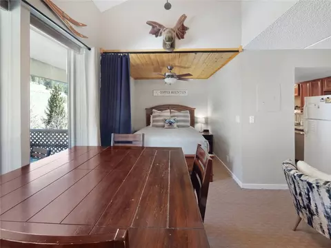 800 Copper Rd #309, Copper Mountain, CO 80443 photo 10