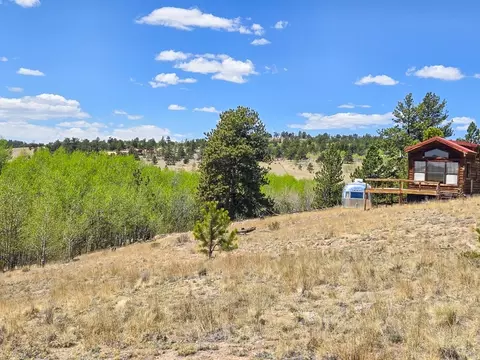 487 Indian Ln, Hartsel, CO 80449