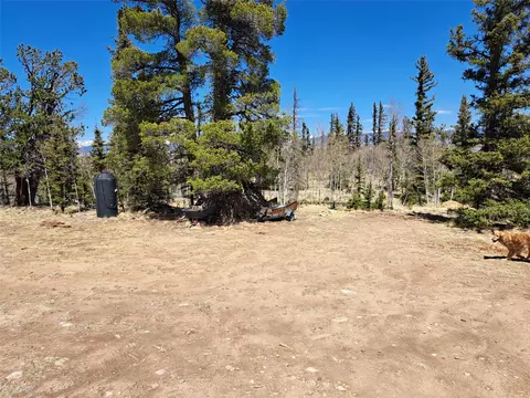 782 Tepee Trl, Como, CO 80432 photo 19