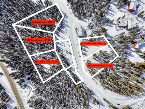 504 Carroll Ln, Breckenridge, CO 80424